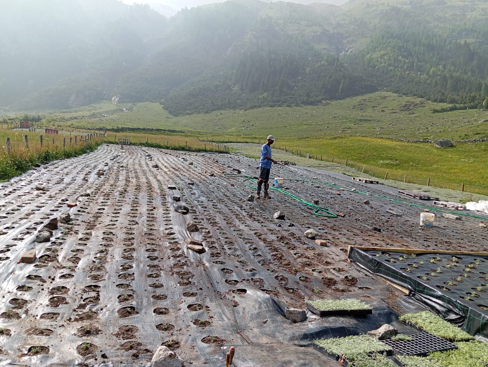 Annaffiamento del campo